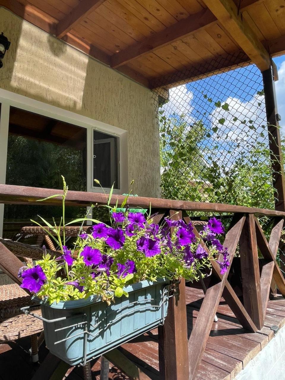 Bed and Breakfast Private Щучінск Екстер'єр фото